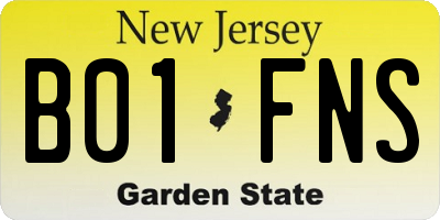 NJ license plate B01FNS