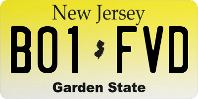 NJ license plate B01FVD