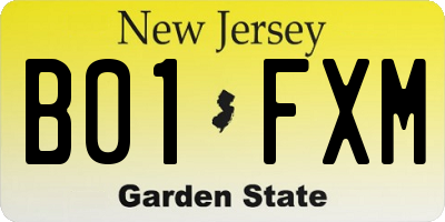 NJ license plate B01FXM