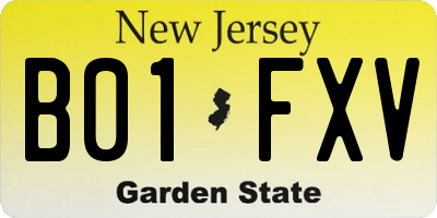 NJ license plate B01FXV
