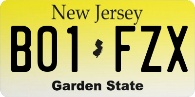 NJ license plate B01FZX