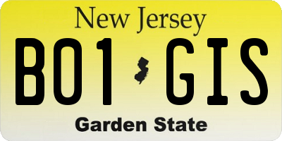 NJ license plate B01GIS