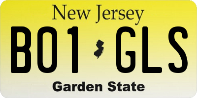 NJ license plate B01GLS