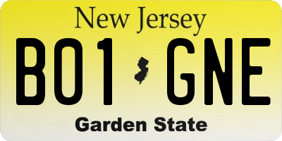NJ license plate B01GNE