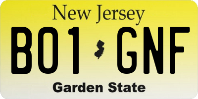 NJ license plate B01GNF