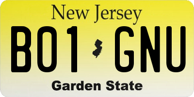 NJ license plate B01GNU