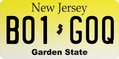 NJ license plate B01GOQ