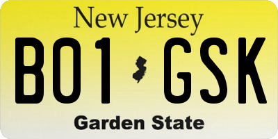 NJ license plate B01GSK