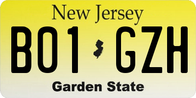 NJ license plate B01GZH