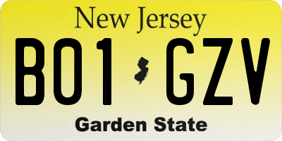 NJ license plate B01GZV