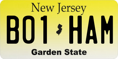 NJ license plate B01HAM