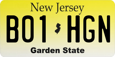 NJ license plate B01HGN