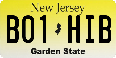 NJ license plate B01HIB