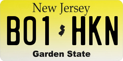 NJ license plate B01HKN