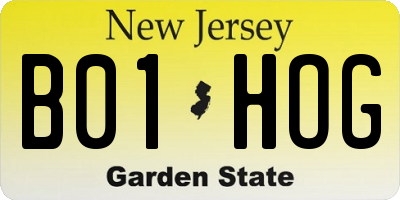 NJ license plate B01HOG