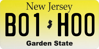NJ license plate B01HOO