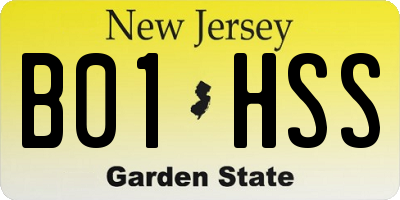 NJ license plate B01HSS