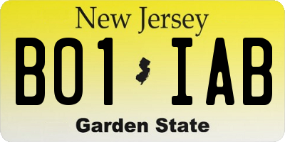 NJ license plate B01IAB