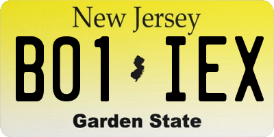 NJ license plate B01IEX