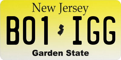 NJ license plate B01IGG