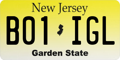 NJ license plate B01IGL