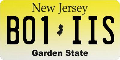 NJ license plate B01IIS