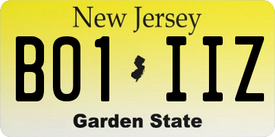 NJ license plate B01IIZ