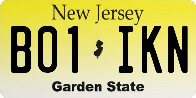 NJ license plate B01IKN