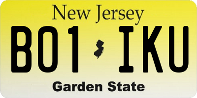 NJ license plate B01IKU