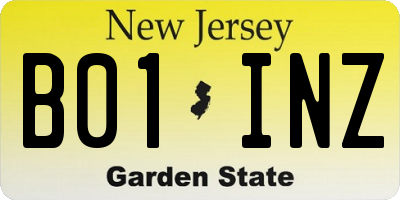 NJ license plate B01INZ