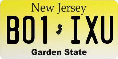 NJ license plate B01IXU