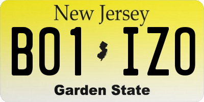 NJ license plate B01IZO