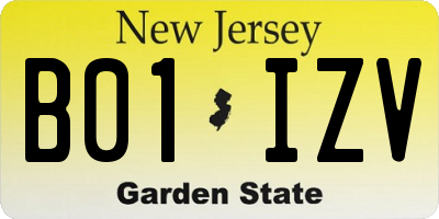 NJ license plate B01IZV