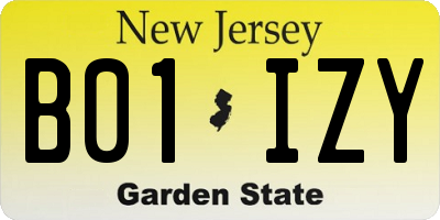 NJ license plate B01IZY