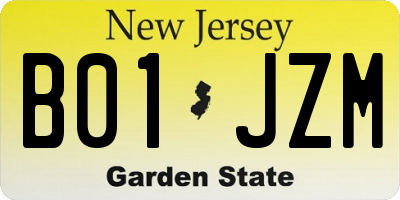 NJ license plate B01JZM
