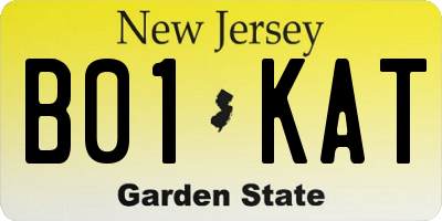 NJ license plate B01KAT