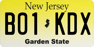 NJ license plate B01KDX