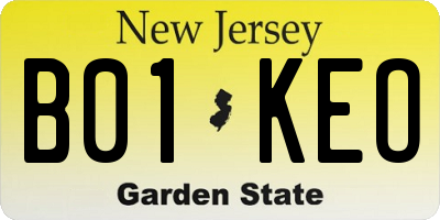 NJ license plate B01KEO