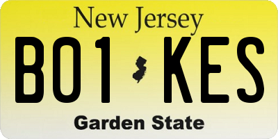 NJ license plate B01KES