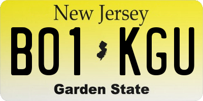 NJ license plate B01KGU