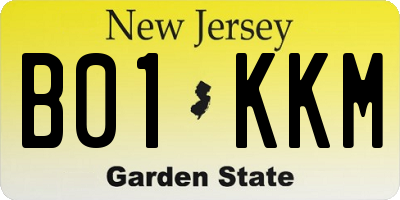 NJ license plate B01KKM