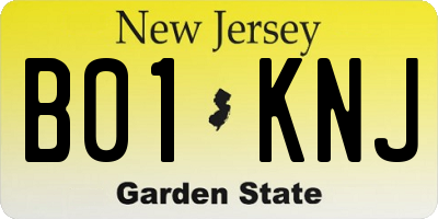 NJ license plate B01KNJ