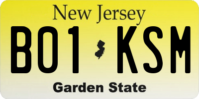 NJ license plate B01KSM