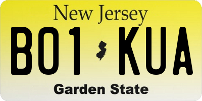 NJ license plate B01KUA