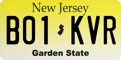 NJ license plate B01KVR