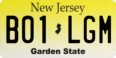 NJ license plate B01LGM