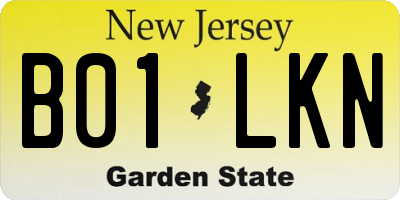 NJ license plate B01LKN
