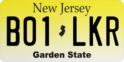 NJ license plate B01LKR