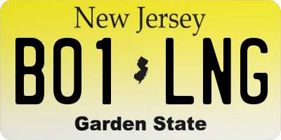 NJ license plate B01LNG