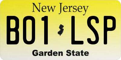 NJ license plate B01LSP